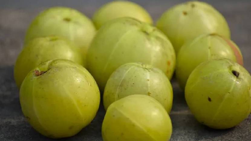 amla helps improve digestive tract