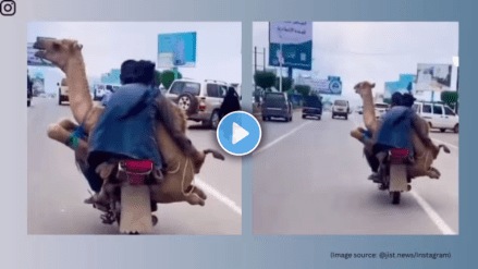 viral video sparks outrage Animal cruelty