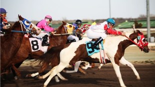 horse race Mumbai