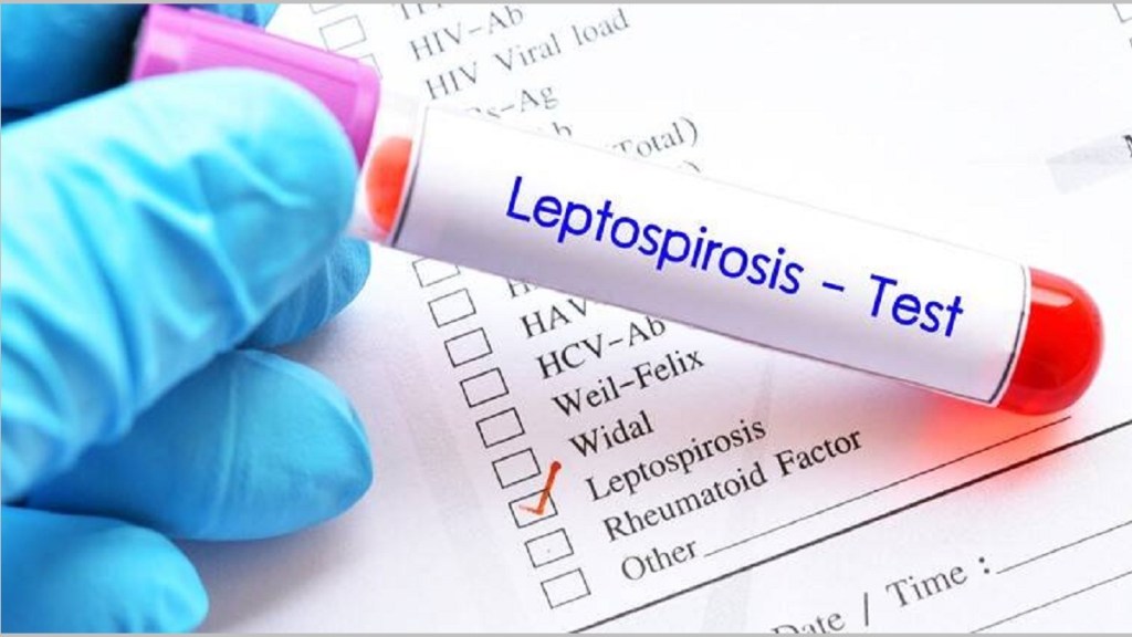 Leptospirosis deaths Leptospirosis deaths