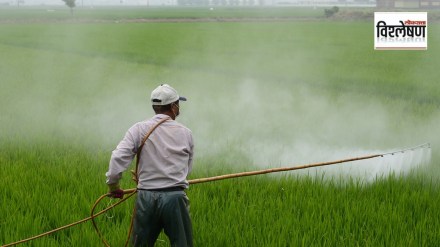dap fertilizer shortage