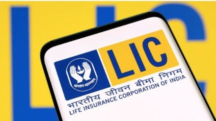 lic india portfolio