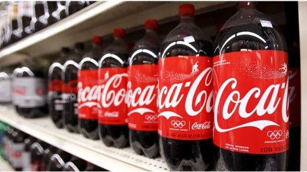 hindustan coca cola beverages