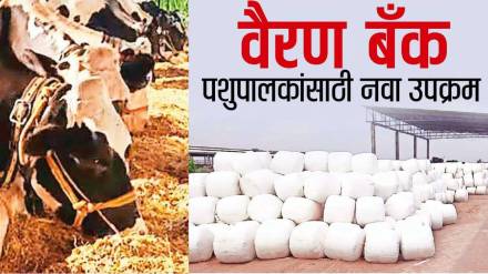 vairan bank started a new initiative for livestock farmers vairan bank started a new initiative for livestock farmers