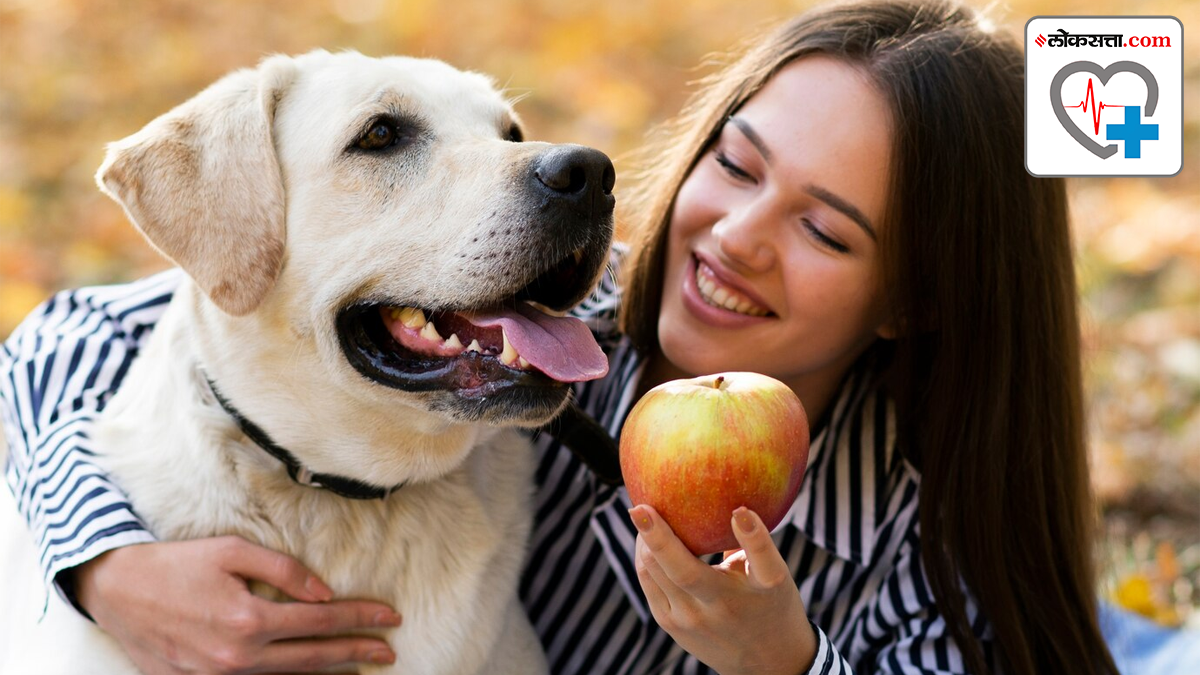 Feeding fruits to dog is okay or not which fruits should be fed to dogs ...