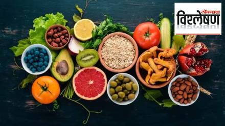 india rejects food shipments from china sri lanka bangladesh japan and turkey over safety concerns india rejects food shipments from china sri lanka bangladesh japan and turkey over safety concerns