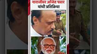 What did Ajit Pawar say about Chhagan Bhujbal meeting Chief Minister Devendra Fadnavis