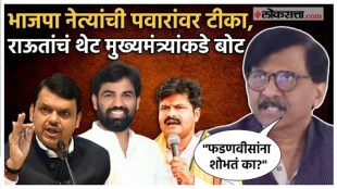 sanjay raut criticized devendra fadanvis and bjp government over maharashtra politics