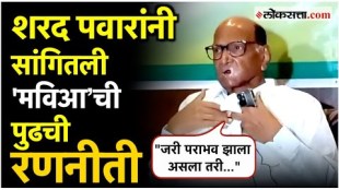 What will be the next strategy of mahavikas aghadi after the defeat in the assembly Sharad Pawar said