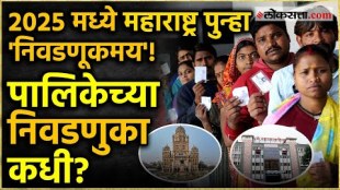 in maharashtra municipal elections after april 2025 supreme court hearing on 22nd january 2025