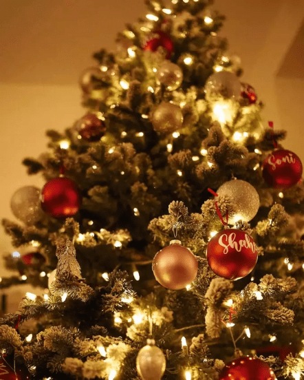 Ranbir Raha Deepika And Varun Dhawan Celebrate First Christmas With Kids
