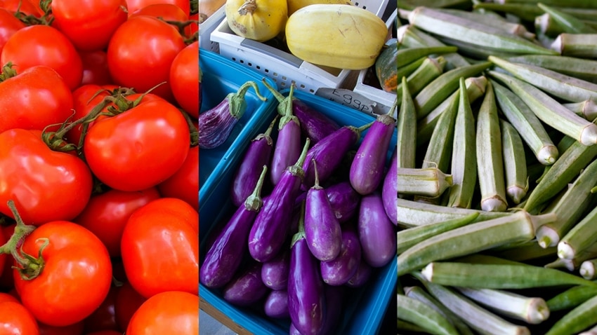 Botanical Fruits