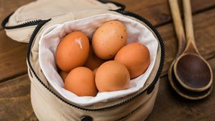 How many eggs per day can eat in a winter