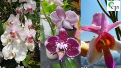 निसर्गलिपी : फुलांच्या वार्षिक प्रदर्शनांना जाच!