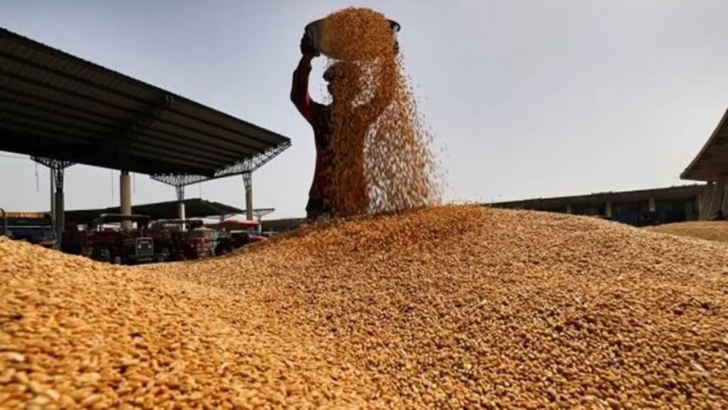 Target of purchasing 33 lakh quintals of paddy in tribal areas Target of purchasing 33 lakh quintals of paddy in tribal areas