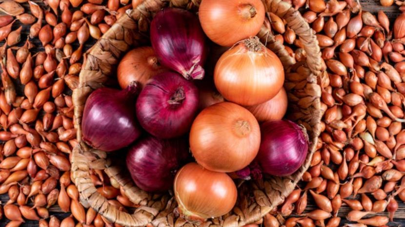 Onion Juice 