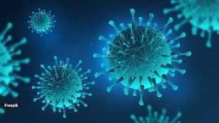 Pimpri Chinchwad Municipal Corporations Medical Department started precautions for HMPV virus