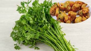 How To Make Kothimbir Bhaji In Maharashtrian Style