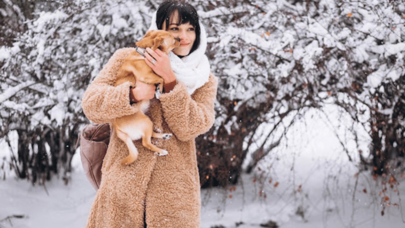 How often should you bathe your pets in winter experts weigh