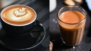 What is best among tea and coffee all benefits of tea and coffee