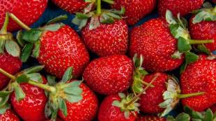 How To Identify Fresh Strawberries