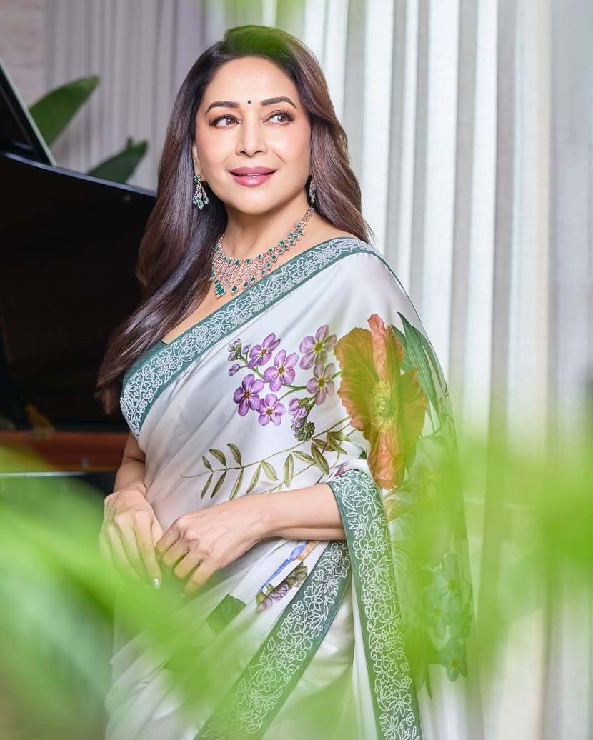 Bollywood star Madhuri Dixit shares bold look in grey floral saree on social media