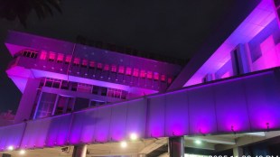 purple jallosh Festival , Chinchwad , Inauguration ,