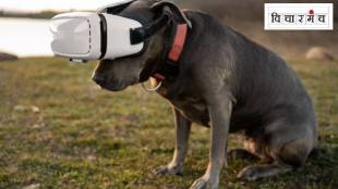 Artificial Intelligence Might Enable Communication with Animals