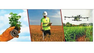 agriculture career opportunities loksatta