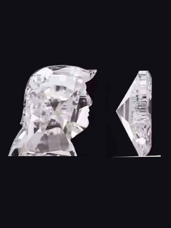 diamond tribute to trump from india