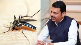 cm devendra fadnavis orders eradicate malaria from gadchirli
