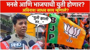 What did Avinash Jadhav say about the discussion of alliance between MNS and BJP