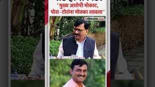 Shivsena UBT leader Sanjay Raut criticizes action taken in Beed murder case