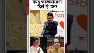 cm devendra fadnavis on raj thackeray and uddhav thackeray