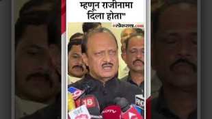 DCM Ajit Pawar Reaction on Demand for action against Dhananjay Munde
