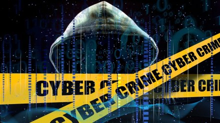 cyber crime senior citizen share market rs 1 crore fraud through WhatsApp investment group