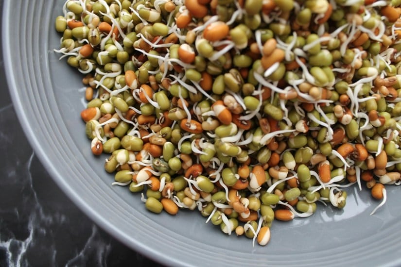 Sprouts