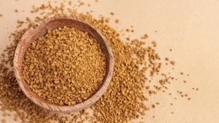 fenugreek seeds benefits | fenugreek seeds benefits in gujarati | fenugreek seeds recipe | Fenugreek benefits for females How to use fenugreek seed |, Fenugreek seeds for hai |, Fenugreek side effects liver | Fenugreek leaves fenugreek seeds benefits in diabetes | health tips of fenugreek seeds