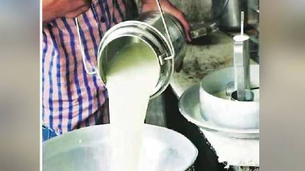 Record daily collection of 1 crore 71 lakh liters of milk in the financial year