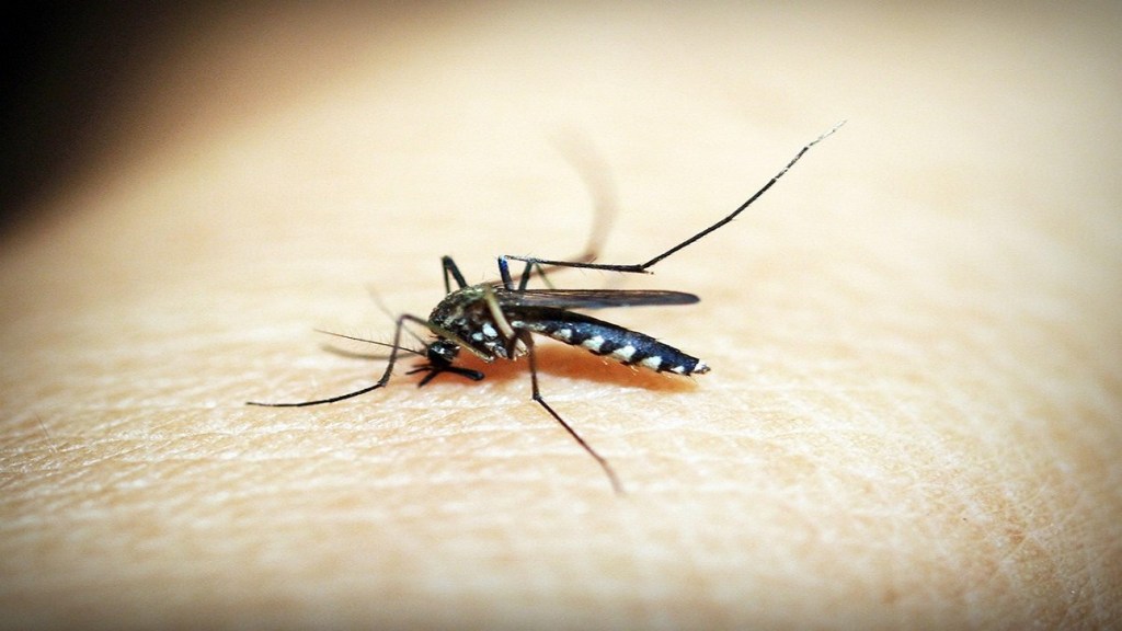 Pune , Dengue , IITM , scientists ,