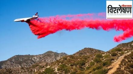 pink powder on los angeles pink powder on los angeles