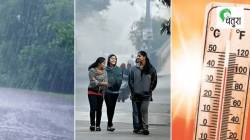 निसर्गलिपी: ऋतू बदल आणि बागेतील आनंदाचे क्षण