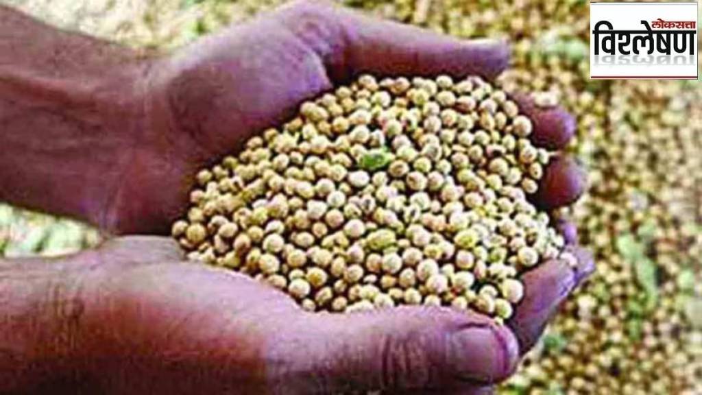 Soybean sowing planned on 2 lakh 66 thousand hectares 2 lakh 14 quintals seeds required