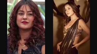 Shehnaaz Gill Diet Plan