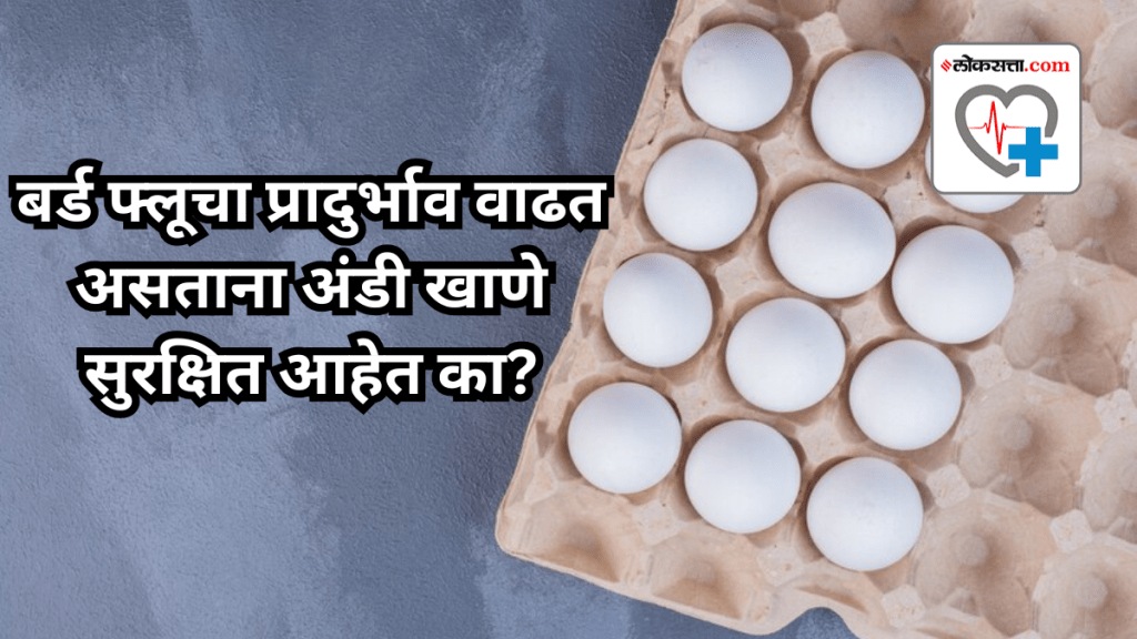 Are eggs safe to eat as bird flu spreads Are eggs safe to eat as bird flu spreads