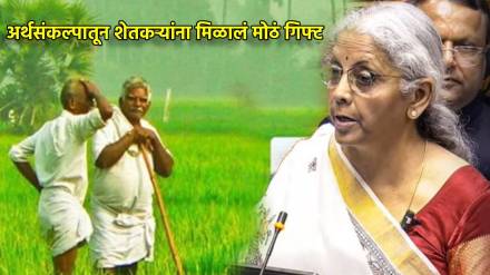 Budget 2025 Kisan Credit Card benefits