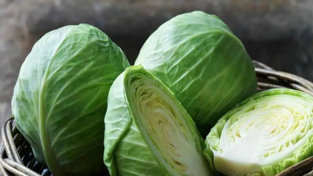 Cabbage is priced at Rs 6 to 8 per kg in the wholesale market Cabbage is priced at Rs 6 to 8 per kg in the wholesale market