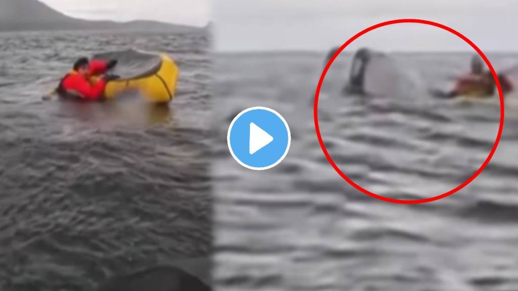 Shocking video Swallowed by a whale, still survived: Kayaker’s near-death encounter caught on camera shocks the social media