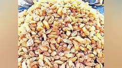 बेदाणा उत्पादन