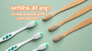 Plastic vs Bamboo which toothbrush is better for cleaning teeth